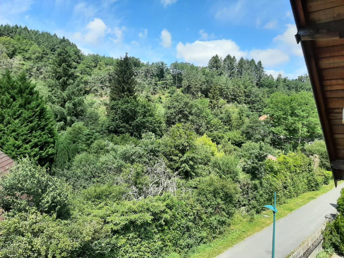 Villa Guillaumette B&B Châteauneuf-les-Bains Екстериор снимка